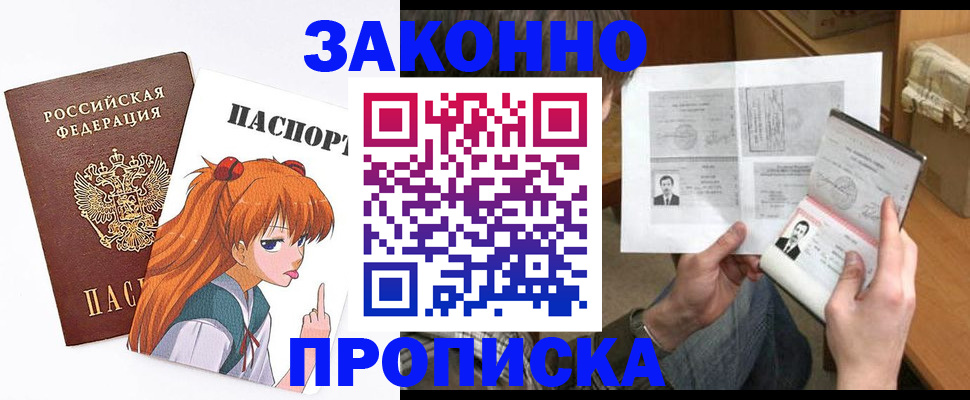 прописка законно в Мончегорске